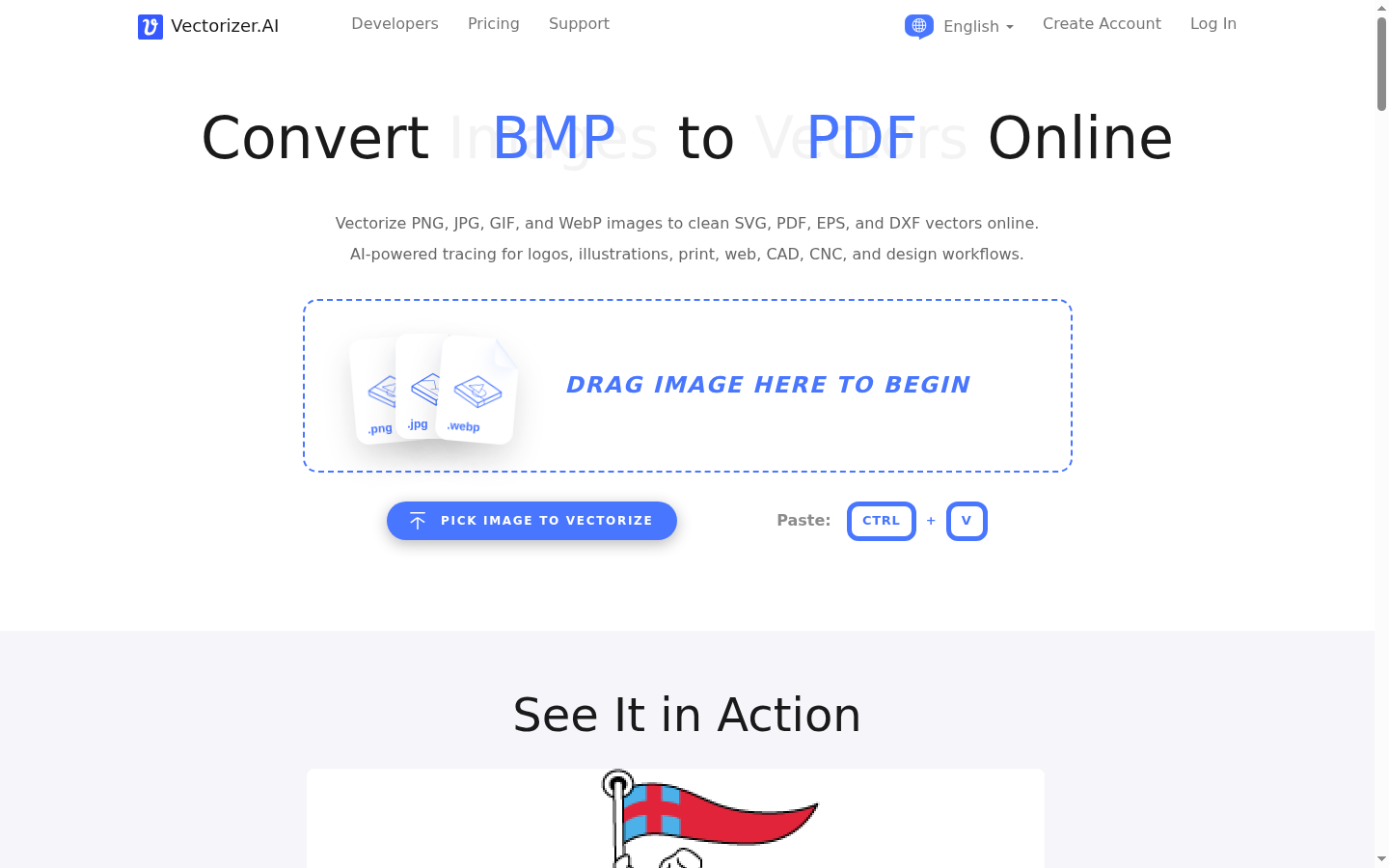 Vectorizer.ai interface — raster to SVG conversion