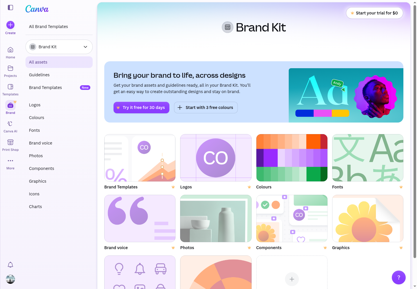Canva Brand Kit panel — logos, colors, and fonts